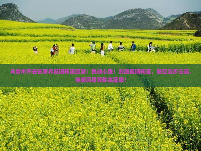 乌鲁木齐去张家界玻璃栈道旅游