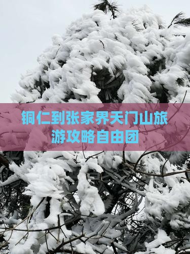 铜仁到张家界天门山自由团