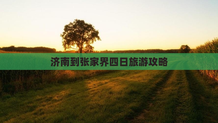 济南到张家界森林公园四日游