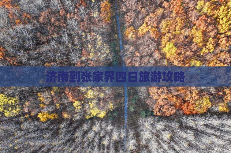 济南到张家界森林公园四日游