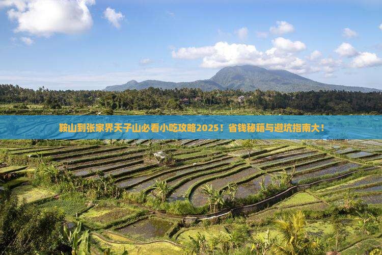 鞍山到张家界天子山旅游小吃