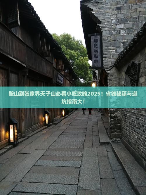 鞍山到张家界天子山旅游小吃