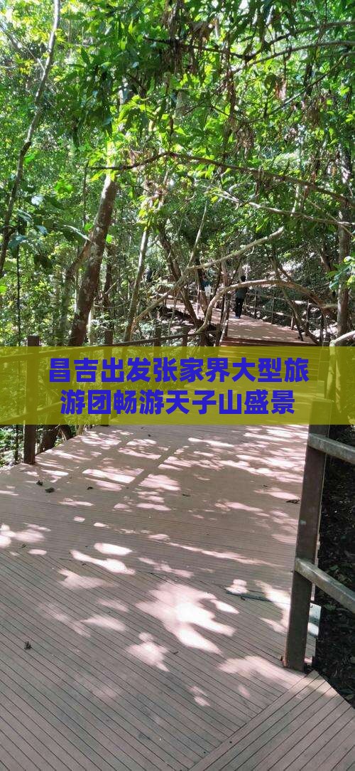 昌吉出发张家界大型旅游团畅游天子山盛景