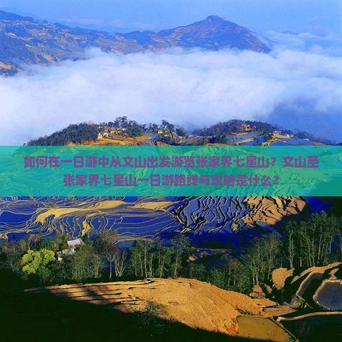 如何在一日游中从文山出发游览张家界七星山？文山至张家界七星山一日游路线与攻略是什么？
