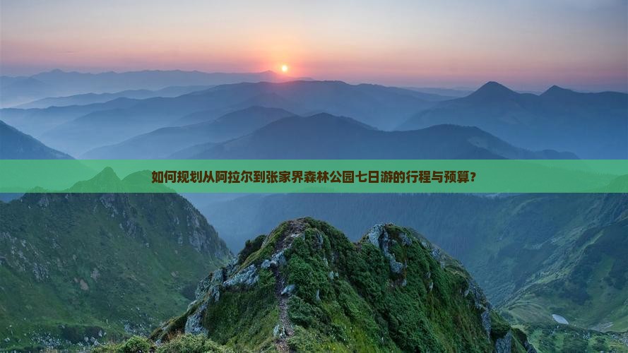 如何规划从阿拉尔到张家界森林公园七日游的行程与预算？