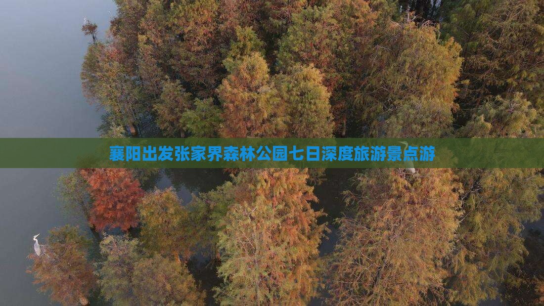 襄阳出发张家界森林公园七日深度旅游景点游