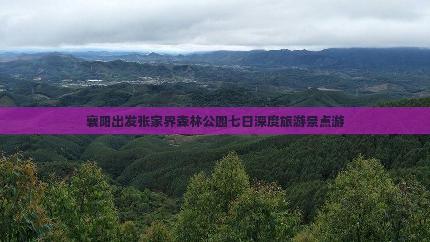 襄阳出发张家界森林公园七日深度旅游景点游