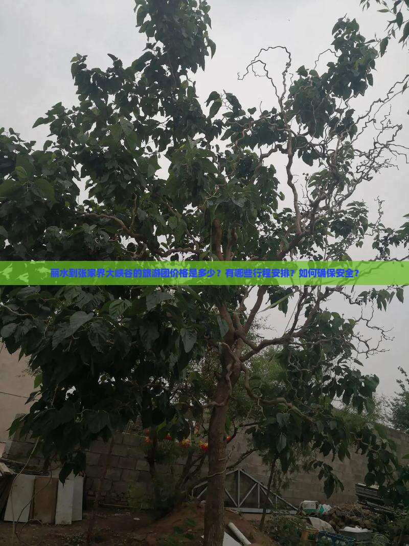 丽水到张家界大峡谷的旅游团价格是多少？有哪些行程安排？如何确保安全？