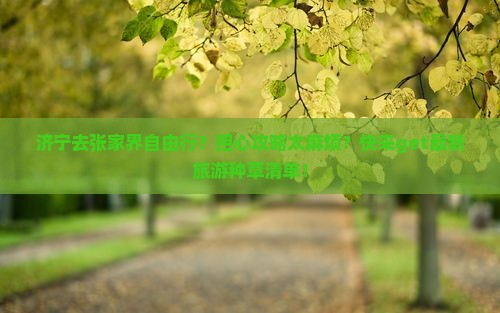 济宁去张家界自由行？担心攻略太麻烦？快来get最新旅游种草清单！