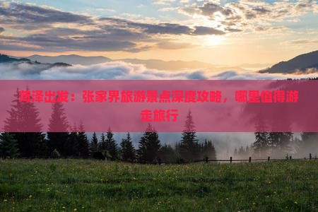 菏泽出发：张家界旅游景点深度攻略，哪里值得游走旅行