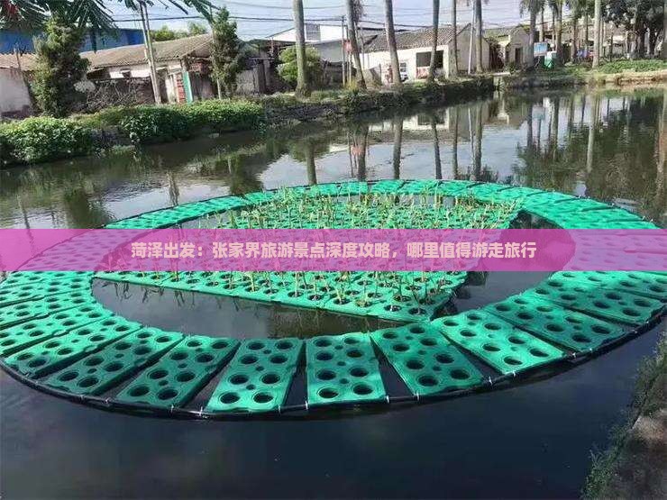 菏泽出发：张家界旅游景点深度攻略，哪里值得游走旅行