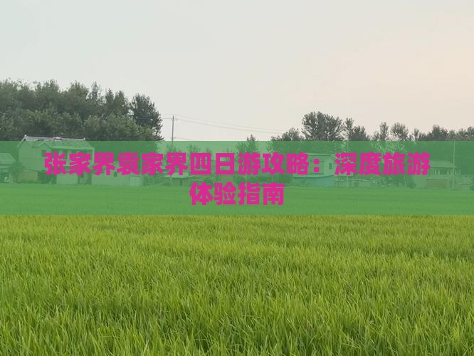 张家界袁家界四日游攻略：深度旅游体验指南