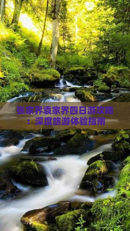 张家界袁家界四日游攻略：深度旅游体验指南