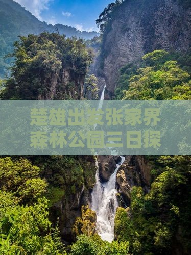 楚雄出发张家界森林公园三日探秘之旅