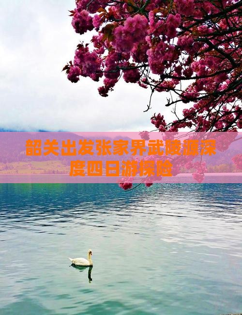 韶关出发张家界武陵源深度四日游探险