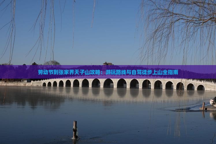 劳动节到张家界天子山攻略：游玩路线与自驾徒步上山全指南