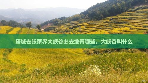 塔城去张家界大峡谷必去地有哪些，大峡谷叫什么