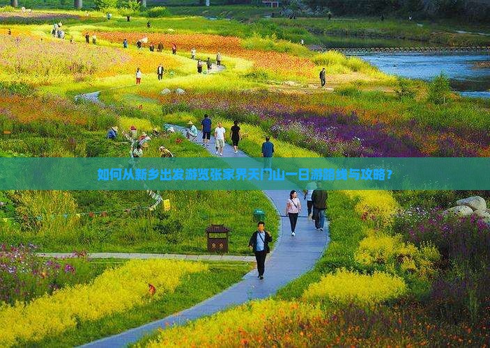 如何从新乡出发游览张家界天门山一日游路线与攻略？
