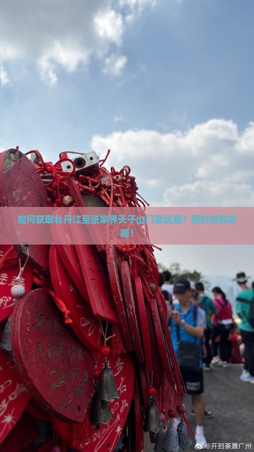 如何获取牡丹江至张家界天子山门票优惠？限时抢购攻略！