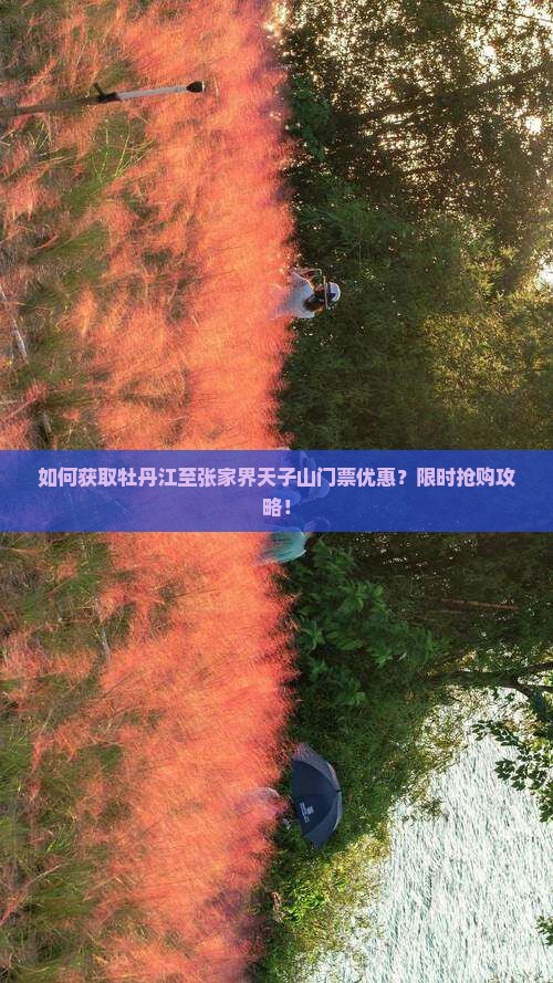 如何获取牡丹江至张家界天子山门票优惠？限时抢购攻略！