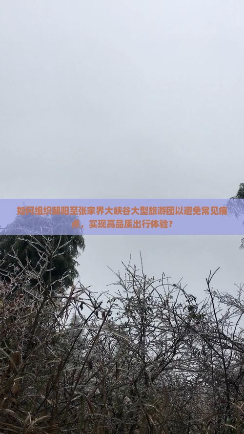 如何组织朝阳至张家界大峡谷大型旅游团以避免常见痛点，实现高品质出行体验？