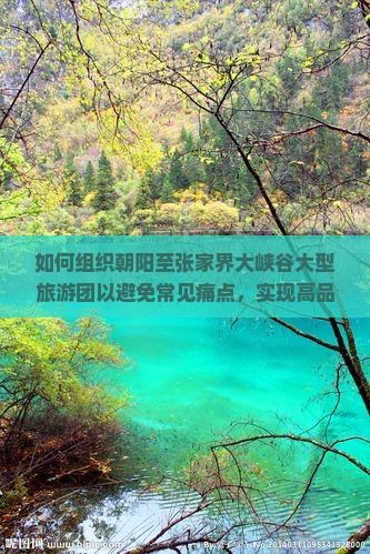 如何组织朝阳至张家界大峡谷大型旅游团以避免常见痛点，实现高品质出行体验？