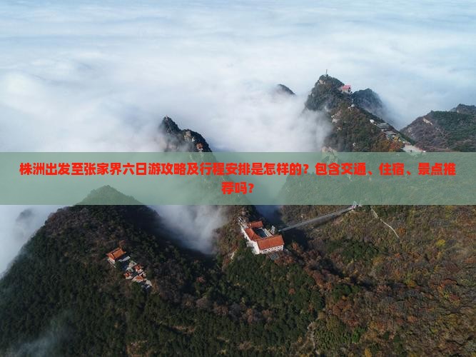 株洲出发至张家界六日游攻略及行程安排是怎样的？包含交通、住宿、景点推荐吗？