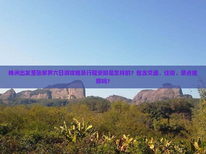 株洲出发至张家界六日游攻略及行程安排是怎样的？包含交通、住宿、景点推荐吗？
