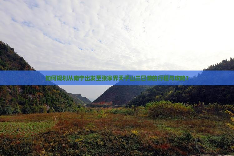 如何规划从南宁出发至张家界天子山三日游的行程与攻略？