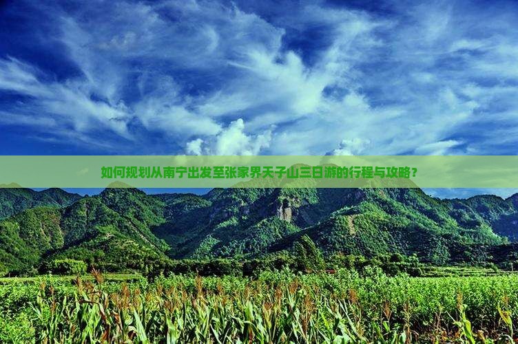 如何规划从南宁出发至张家界天子山三日游的行程与攻略？
