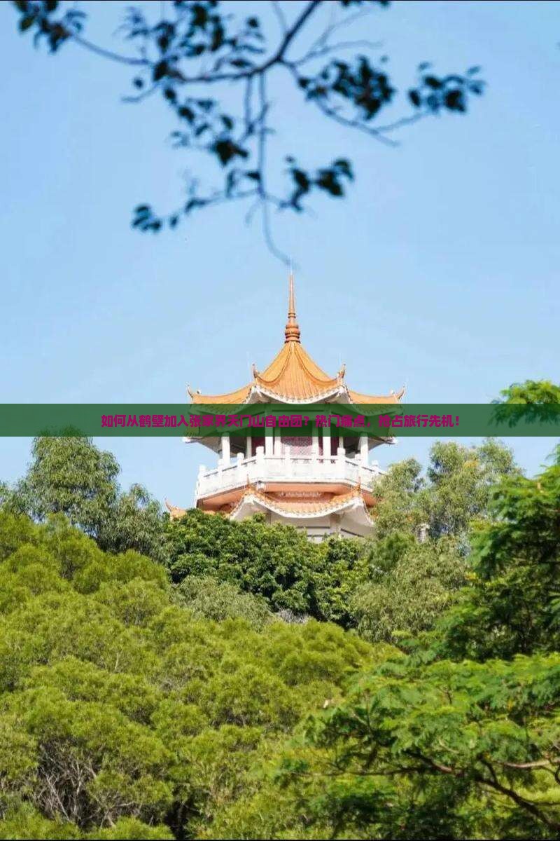 如何从鹤壁加入张家界天门山自由团？热门痛点，抢占旅行先机！