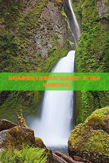 如何从鹤壁加入张家界天门山自由团？热门痛点，抢占旅行先机！