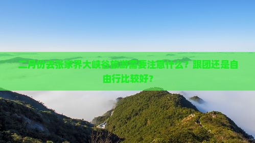 二月份去张家界大峡谷旅游需要注意什么？跟团还是自由行比较好？