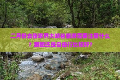 二月份去张家界大峡谷旅游需要注意什么？跟团还是自由行比较好？