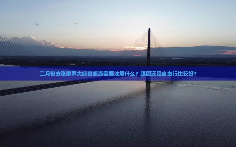 二月份去张家界大峡谷旅游需要注意什么？跟团还是自由行比较好？