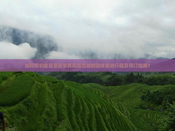 如何规划金昌至张家界凤凰古城的团体旅游行程及预订指南？
