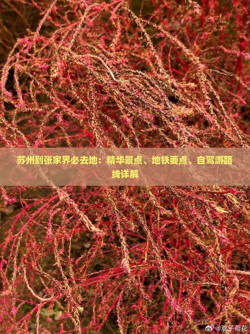 苏州到张家界必去地：精华景点、地铁要点、自驾游路线详解