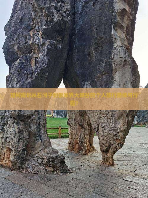 如何规划从石河子到张家界大峡谷的个人旅行路线与行程？