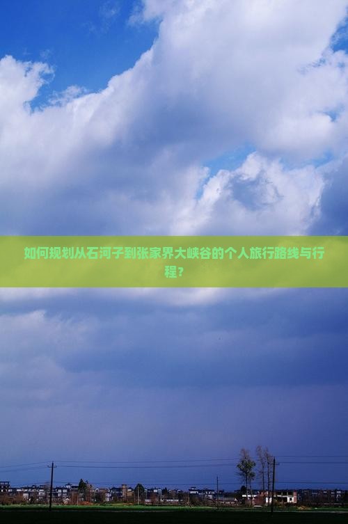如何规划从石河子到张家界大峡谷的个人旅行路线与行程？