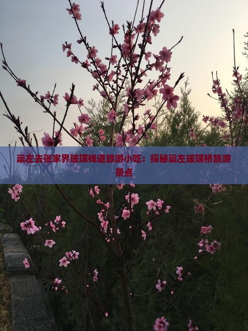崇左去张家界玻璃栈道旅游小吃：探秘崇左玻璃桥旅游景点