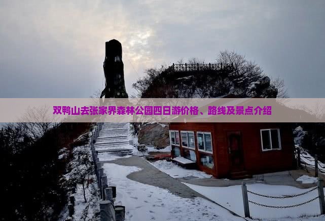 双鸭山去张家界森林公园四日游价格、路线及景点介绍