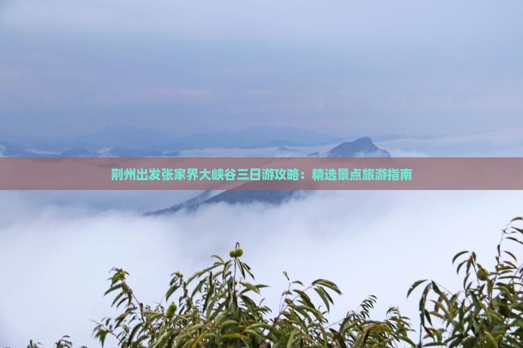 荆州出发张家界大峡谷三日游攻略：精选景点旅游指南