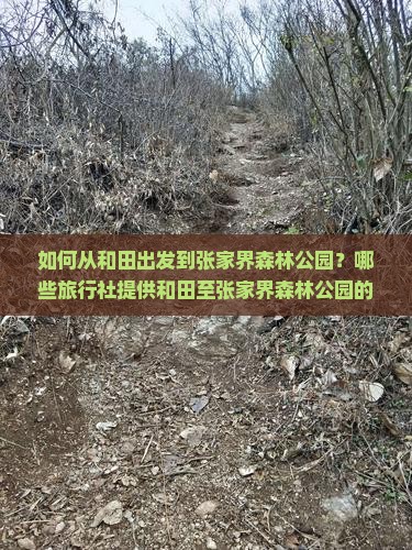 如何从和田出发到张家界森林公园？哪些旅行社提供和田至张家界森林公园的旅游服务？如何选择合适的旅行社进行预订？