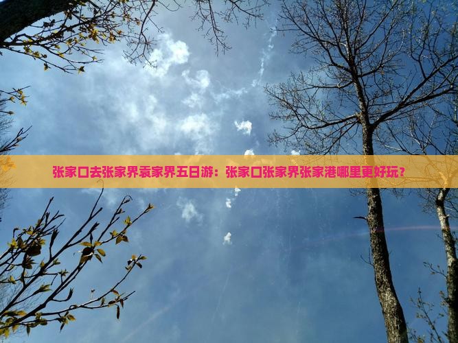张家口去张家界袁家界五日游：张家口张家界张家港哪里更好玩？