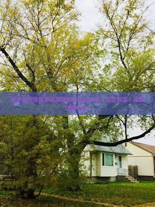 葫芦岛到张家界玻璃栈道门票多少钱？怎么购买？需要注意什么？