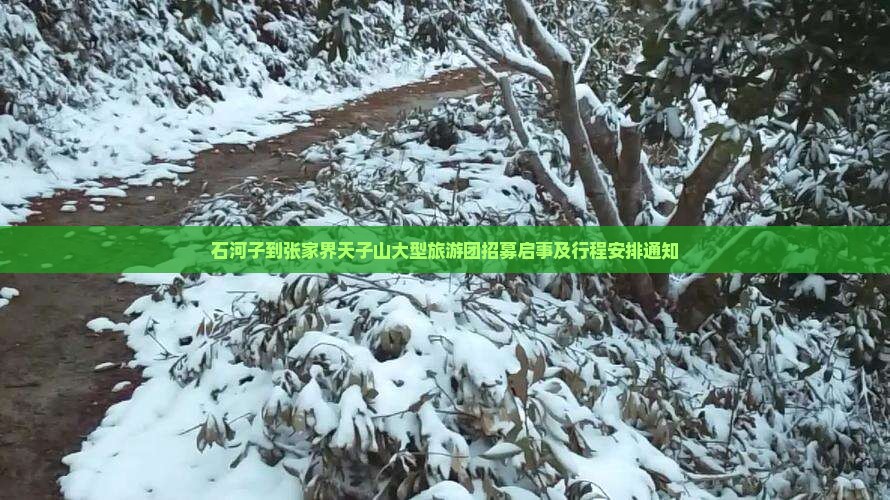 石河子到张家界天子山大型旅游团招募启事及行程安排通知