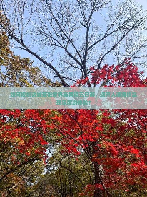 如何规划诸城至张家界芙蓉镇五日游，避开人潮拥挤实现深度游体验？