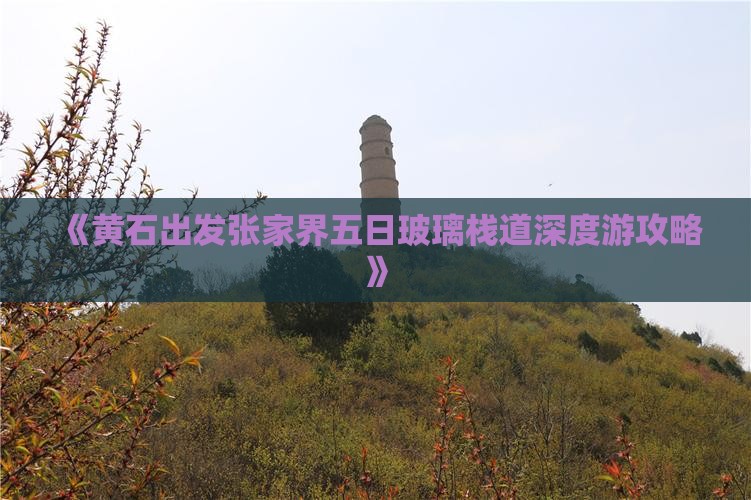 《黄石出发张家界五日玻璃栈道深度游攻略》