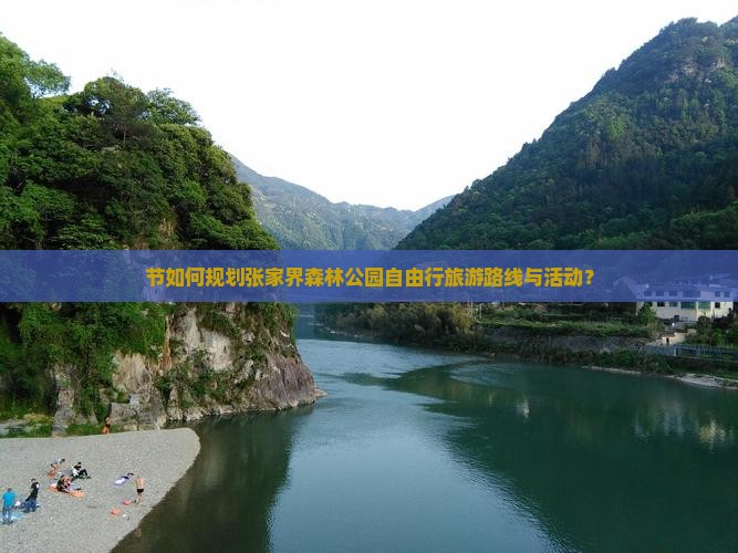 节如何规划张家界森林公园自由行旅游路线与活动？
