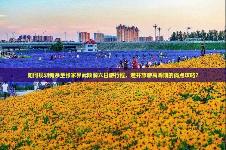 如何规划新余至张家界武陵源六日游行程，避开旅游高峰期的痛点攻略？